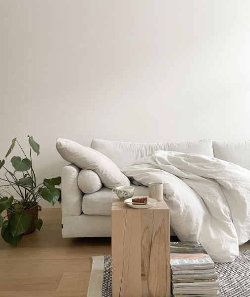 5 комнатных растений для интерьера в стиле минимализм | ivd.ru